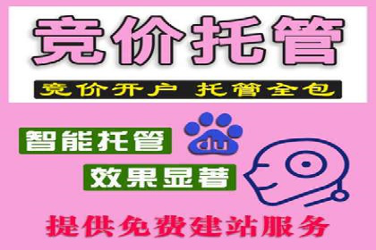 SEM竞价实战技巧，案例讲解与应用